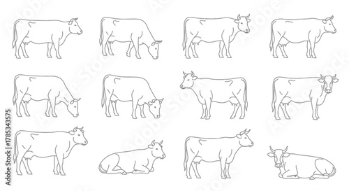 farm animals collection