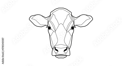 cow isolated on white background