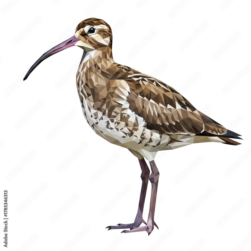 Obraz premium Low poly curlew bird with long beak
