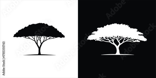Elegant Acacia Tree Illustration Black and White Silhouette for Nature-Inspired Designs
