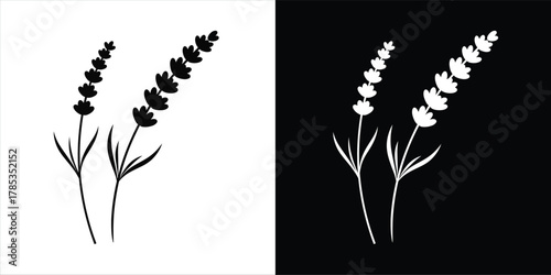 Elegant Lavender Stems in Contrasting Black and White Vector Illustration