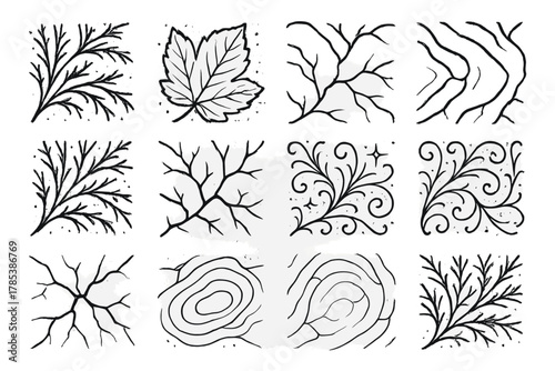 Frozen Ice Patterns. Natural Ice Veins outline icon set: frost on glass, icy leaf imprint, frozen puddle lines, branching ice structure, subtle sparkle, white filigree, clear ice