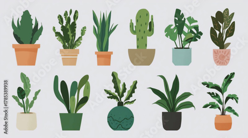 Set Tanaman Hias dalam Pot