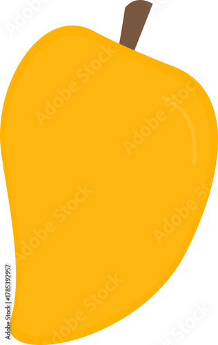 vector illustration of an orange fruit