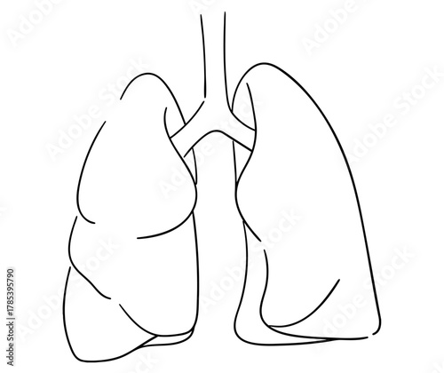 肺のシンプルな線画イラスト