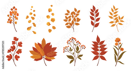 A beautiful collection of autumn leaves, branches with berries, and small flowers in various warm fall colors, perfect for seasonal designs.
