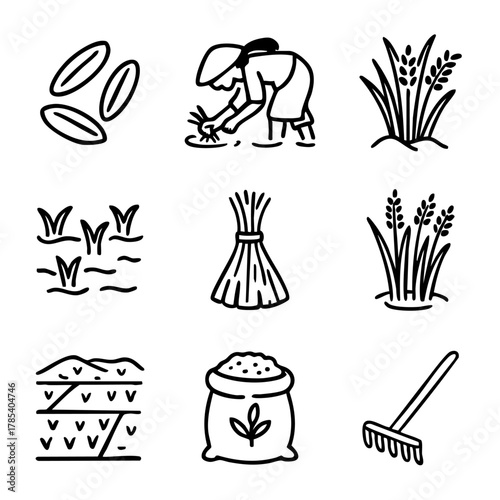 A set of doodle line icons showing rice farming stages including planting, growing, harvesting, paddy fields, rice grains, tools, and sacks