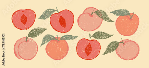 Crayon drawn apricot and peach illustration. Hand drawn fruit stickers or icons. Natural pencil drawn doodle funky peaches and apricots. Tropical fruit collection. Half sliced and whole fruit icons.