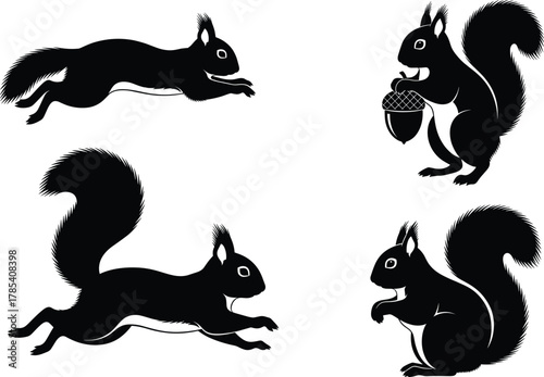 Black squirrel silhouette vector illustration set, jumping running and sitting squirrels with acorn isolated on white background, forest wildlife animal design
