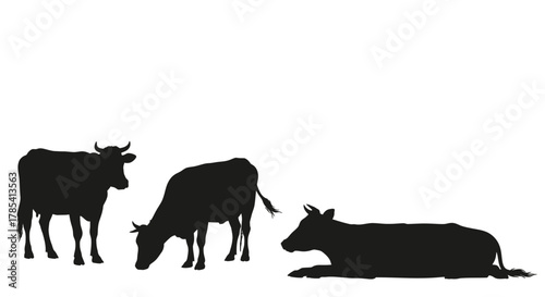 Black cow silhouette vector illustration livestock farm animal art