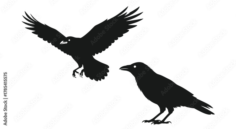 Naklejka premium Black raven silhouette vector graphic flying and standing crows art