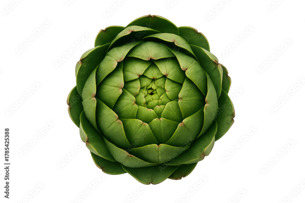 Fototapeta premium Fresh green artichoke vegetable top view, healthy raw food ingredient on transparent background, plant-based diet