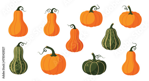 An assortment of vibrant orange and deep green pumpkins and gourds in various shapes, perfect for autumn harvest celebrations.