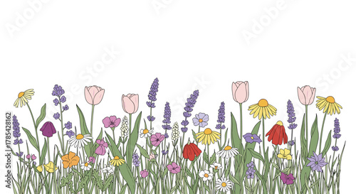 Whimsical hand-drawn border of colorful wildflowers like tulips, lavender, daisies, and coneflowers, bringing a touch of nature to any design.