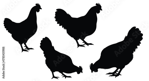 Black chicken silhouette vector illustration farm animal poultry design