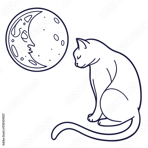 A contemplative cat gazes at the moon