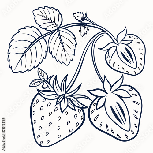 Illustration of ripe strawberries with leaves