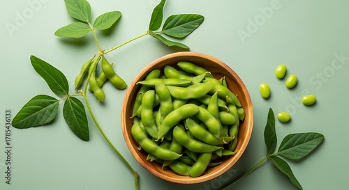 Wallpaper Mural Fresh green raw edamame in the bowl, healthy food and vegetarian concept Torontodigital.ca