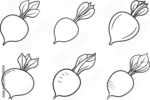Set of radish outline vector illustration line art
