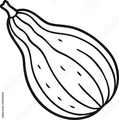 ridge gourd outline vector illustration line art