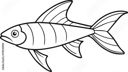 swordtail fish outline vector illustration line art
