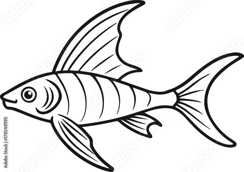 swordtail fish outline vector illustration line art