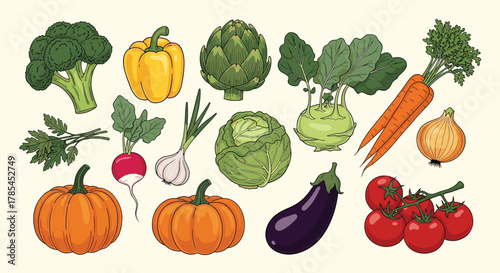 A colorful collection of fresh, hand-drawn vegetables including broccoli, carrots, tomatoes, pumpkins, and various other healthy produce items.