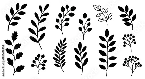 Natural Hand-Drawn Floral Elements and Berry Sprigs Collection on White