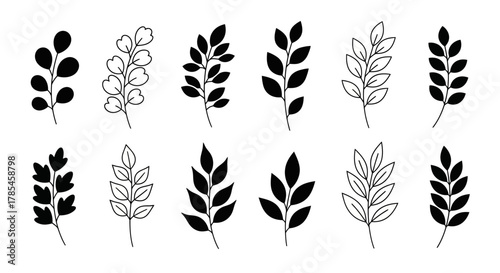 Minimalist Leaf Silhouettes and Outlines for Botanical Design Elements