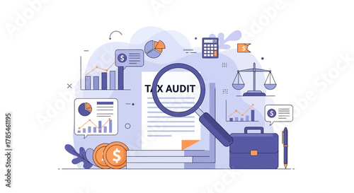 Illustration of Tax Audit Procedure with Financial Data and Account Calculations