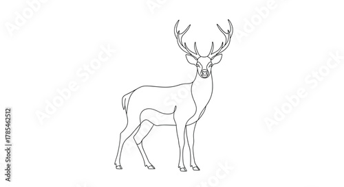 Elegant black and white line art illustration of a majestic male deer with large antlers, standing gracefully on a white background.