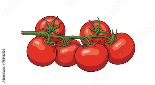 A vibrant illustration of a cluster of ripe red tomatoes still attached to their green vine, ready for harvest and culinary use.