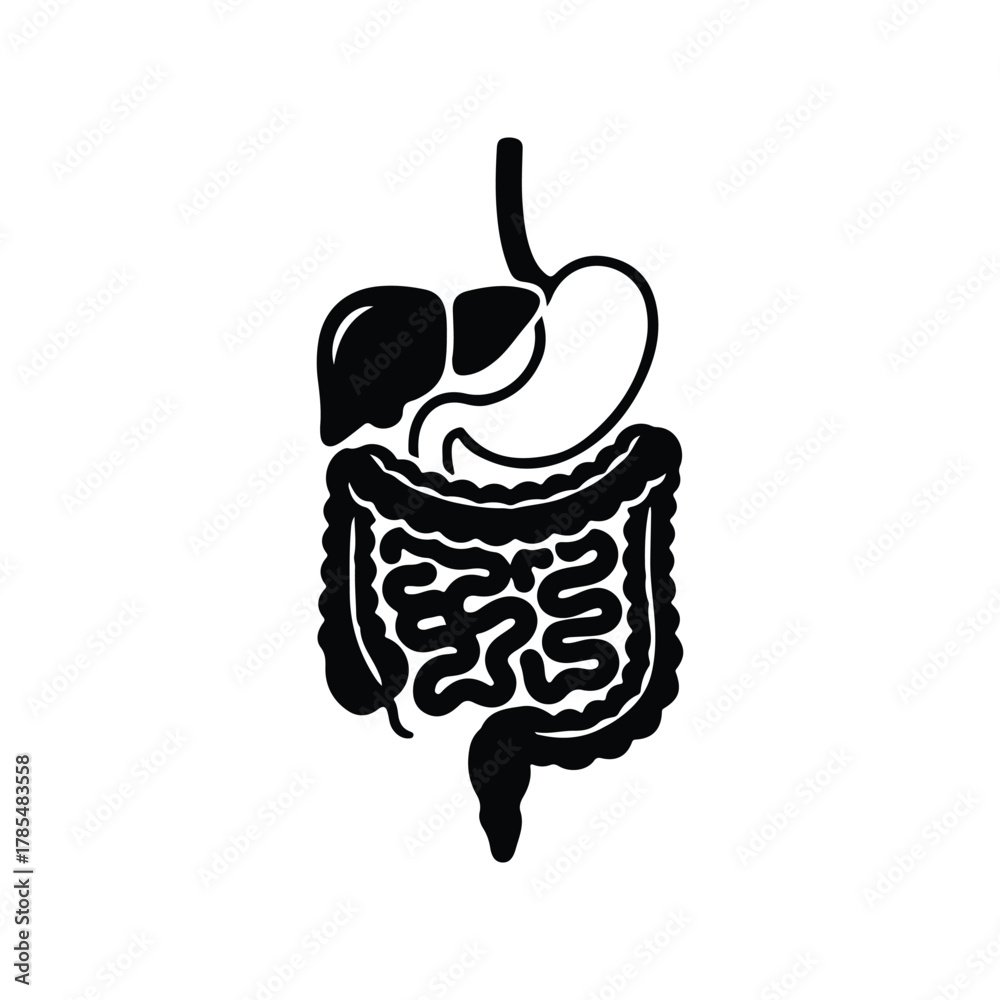 Obraz premium Human Digestive System Silhouette Flat Vector