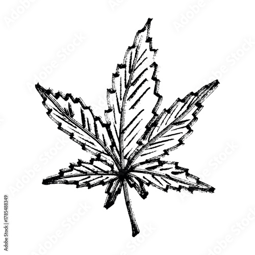 Hand drawn cannabis leaf Medicine marijuana Hemp leaves clipart in doodle style Single element for print, web, design, decor