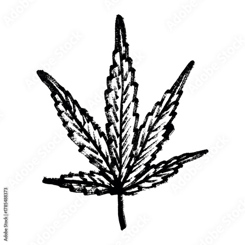 Hand drawn cannabis leaf Medicine marijuana Hemp leaves clipart in doodle style Single element for print, web, design, decor
