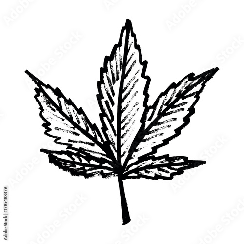 Hand drawn cannabis leaf Medicine marijuana Hemp leaves clipart in doodle style Single element for print, web, design, decor