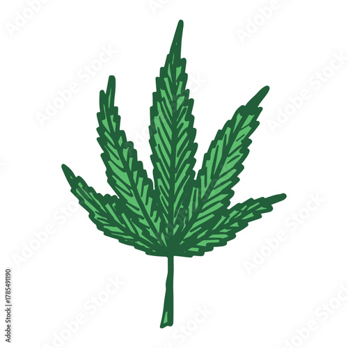 Hand drawn cannabis leaf Medicine marijuana Hemp leaves clipart in doodle style Single element for print, web, design, decor