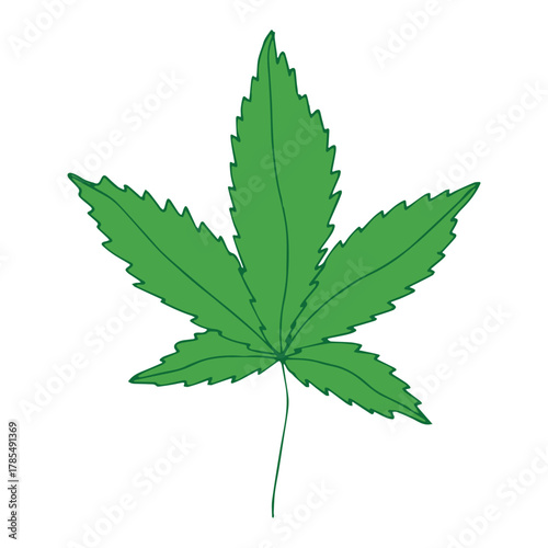 Hand drawn cannabis leaf Medicine marijuana Hemp leaves clipart in doodle style Single element for print, web, design, decor