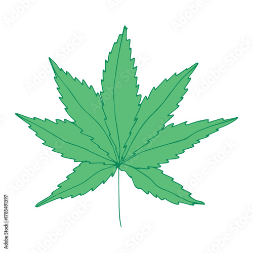Hand drawn cannabis leaf Medicine marijuana Hemp leaves clipart in doodle style Single element for print, web, design, decor
