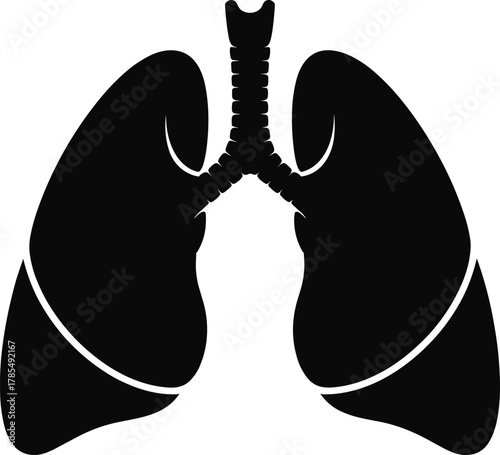 Black Silhouette of Human Lungs and Trachea on White Background anatomy organ