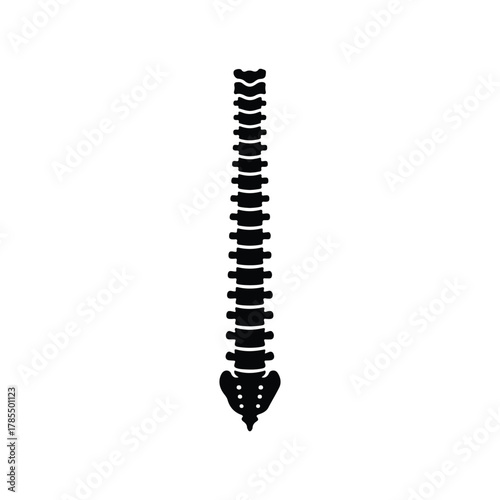 Human Spine Silhouette Flat Vector Icon