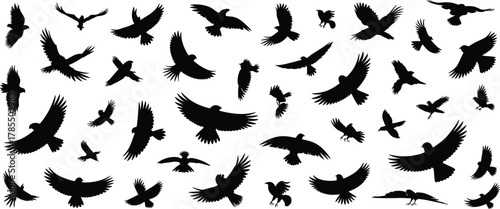 Flying birds silhouette, black bird shapes, avian motion, wildlife silhouettes, bird flight patterns, nature illustration, flock in air, artistic bird silhouettes, isolated flying birds