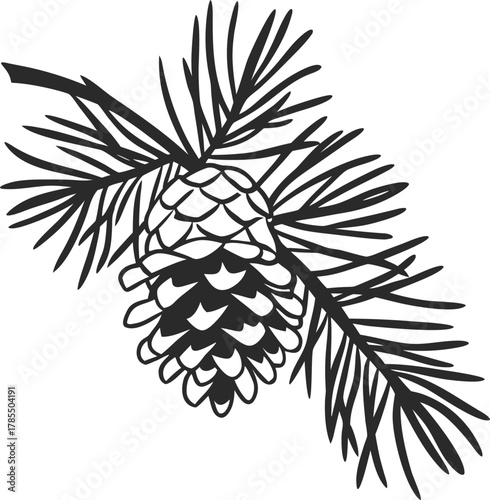 Hand drawn pine cone with evergreen needles sketch illustration