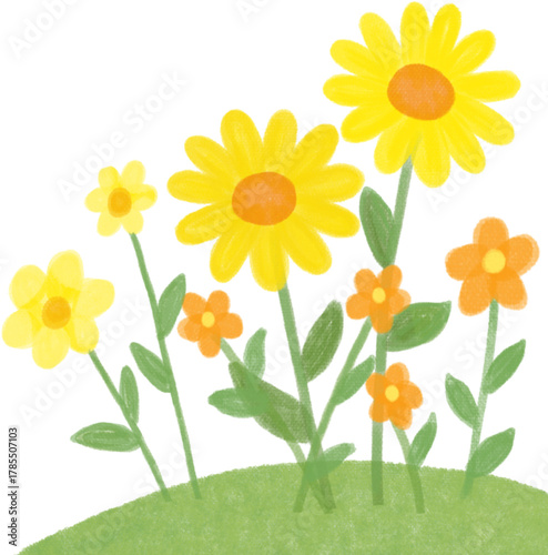 Yellow and Orange Flowers Illustration
