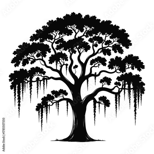 oak tree silhouette with Spanish moss draping from branches, isolated on white background, elegant nature art for design, print, and landscape illustration