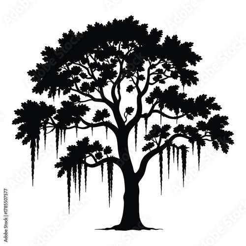 Silhouette of large majestic southern live oak tree with hanging Spanish moss isolated on white background, elegant nature illustration symbolizing strength, age, and southern landscape beauty.