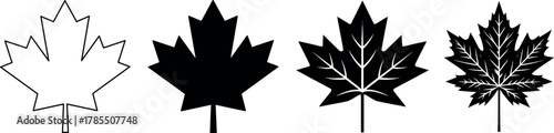 Set of flat maple leaf shape, Canadian maple leaf icon set, icon logo, Vector illustration
