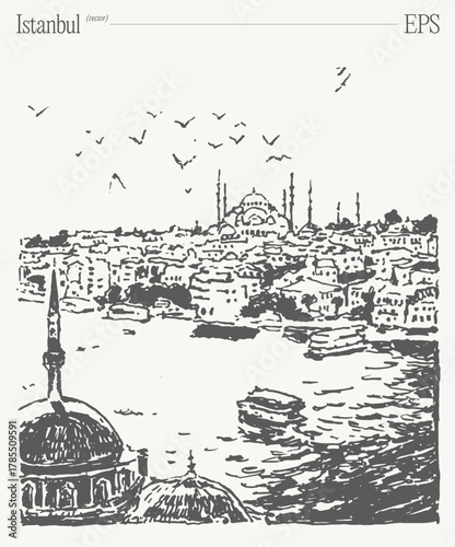 A Stunning and Beautiful Sketch of Istanbuls Iconic Skyline Featuring Historic Architecture