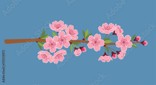 Delicate pink cherry blossoms blooming on branch against blue backdrop, perfect for spring designs or elegant floral illustrations