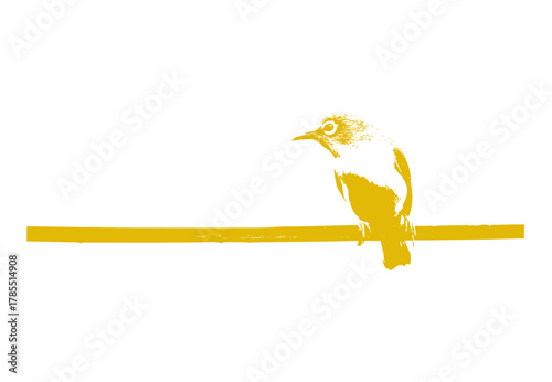 yellow billed hornbill